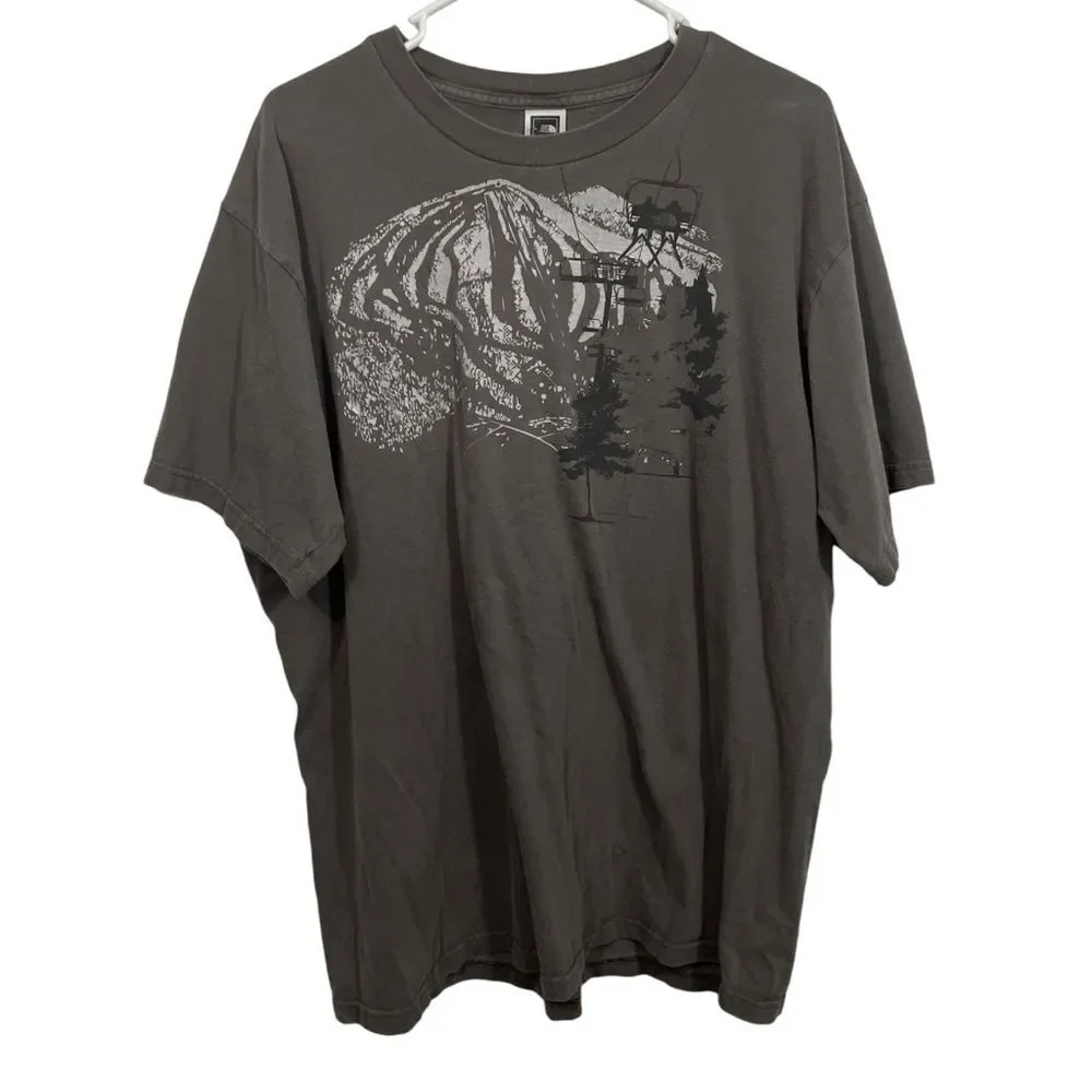 The North Face Grey Graphic Short Sleeve T-Shirt
